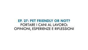 Consulenza Marketing e Comunicazione visiva Terracina